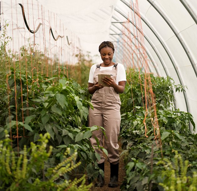A woman farmer in a greenhouse reviewing notes among lush crops